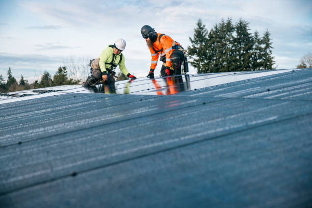 Reliable Metal Roofing contractor in Longbranch, WA by Roof Repair Smedway